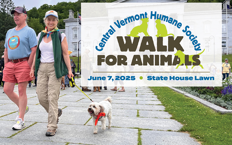 Walk for animals