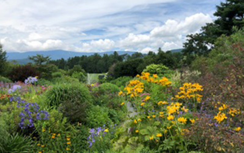 Open Gardens - Von Trapp