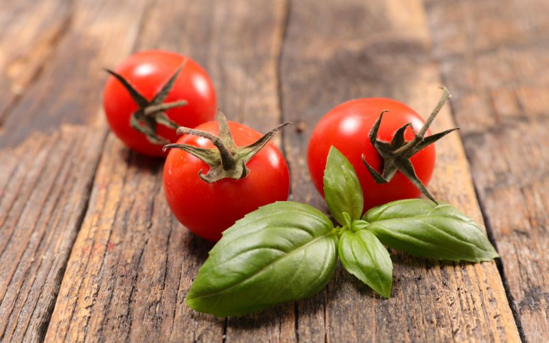 Linguine with Tomatoes and Basil (and Brie)