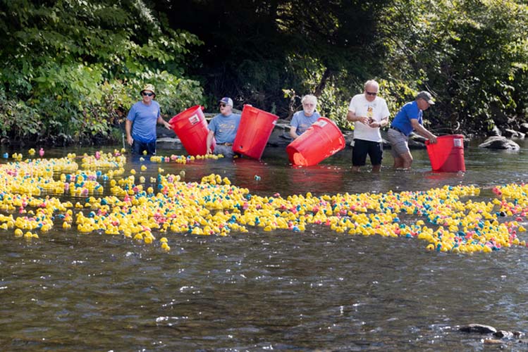 Duck Race