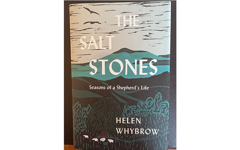 The Salt Stones - Helen Whybrow