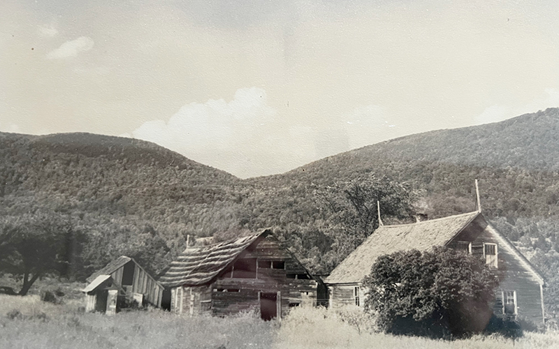 Simple Sage Film Feature