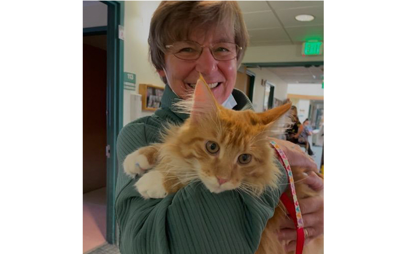 Toby the Therapy Cat Toby the Therapy Cat