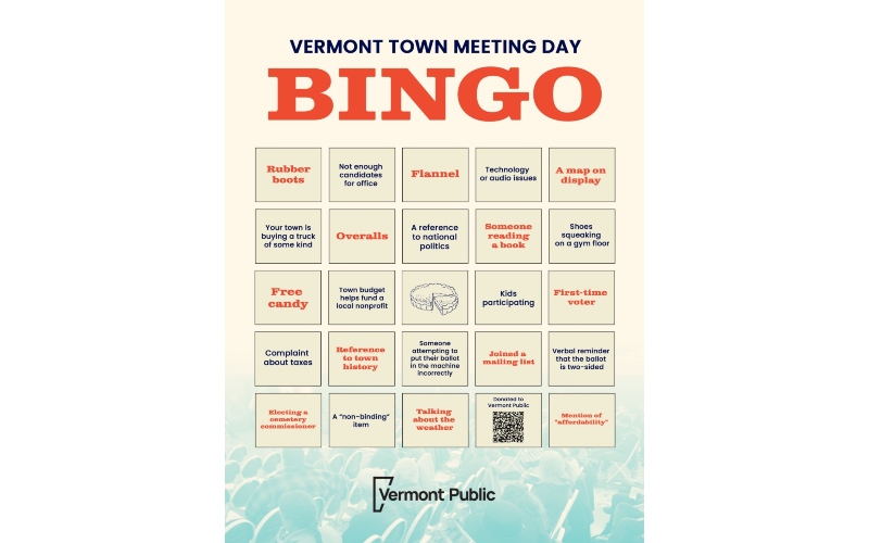 Town Meeting Day Bingo