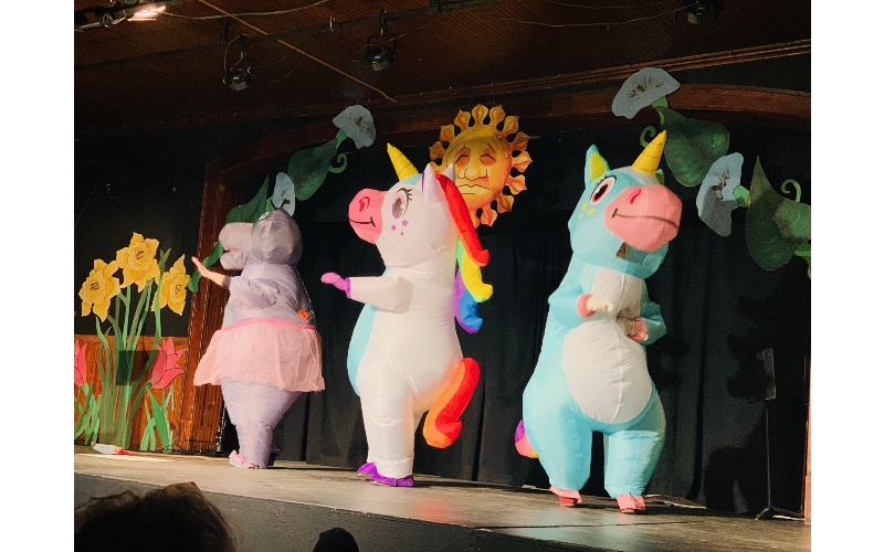 Valley Players Cabin Fever Follies photo 3