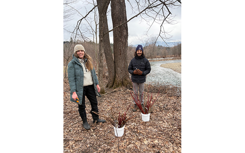 Friends of the Mad River