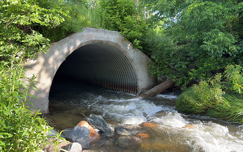 Friends of the Mad River - Mad River Watch