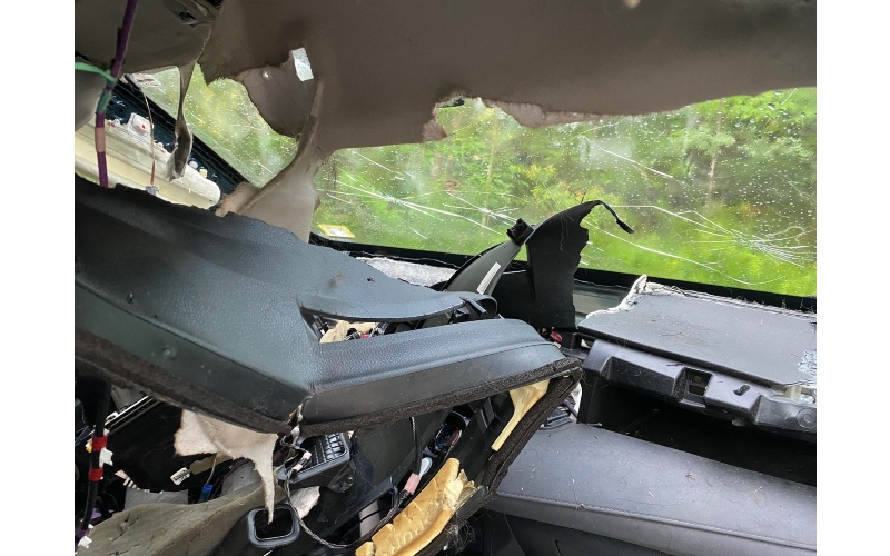 Bear Car Attack