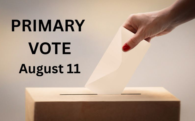 Primary Vote