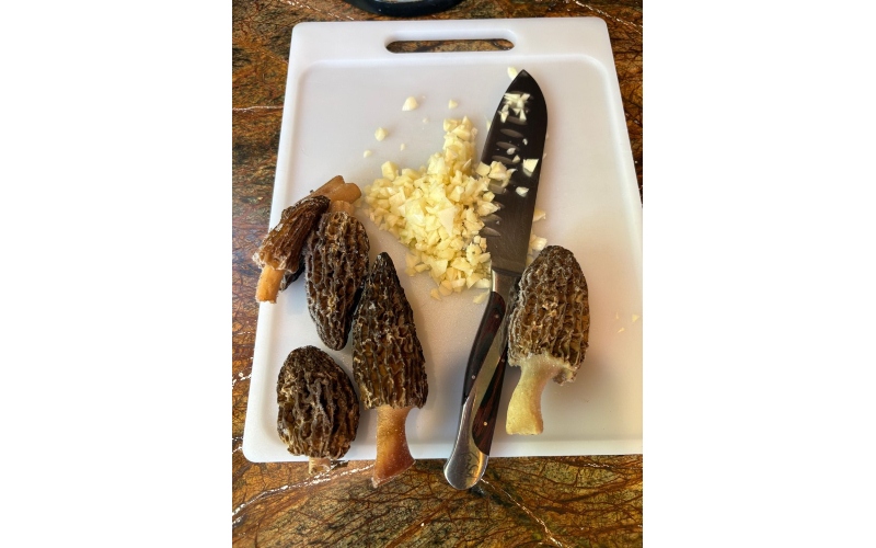 Fresh pasta with morels and garlic