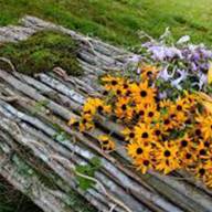 A return to the Earth: What is natural burial and why are more Vermonters choosing it?