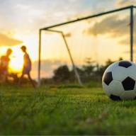 Harwood loses to Rice in D-II soccer final on Halloween night