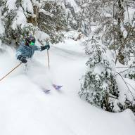 Along the Fall Line - Dry January snow