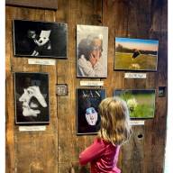 A riot of color and joy at Lareau Farm art show