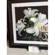 Spring into Color at the Waitsfield church