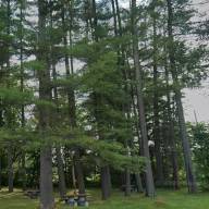 Pines rest area overhaul moves ahead with town&ndash;stewardMRV partnership