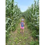 A-Maze-ing adventure comes to Waitsfield